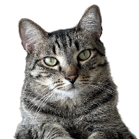 Same photo with the background removed, showing transparency