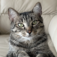 Photo with original background